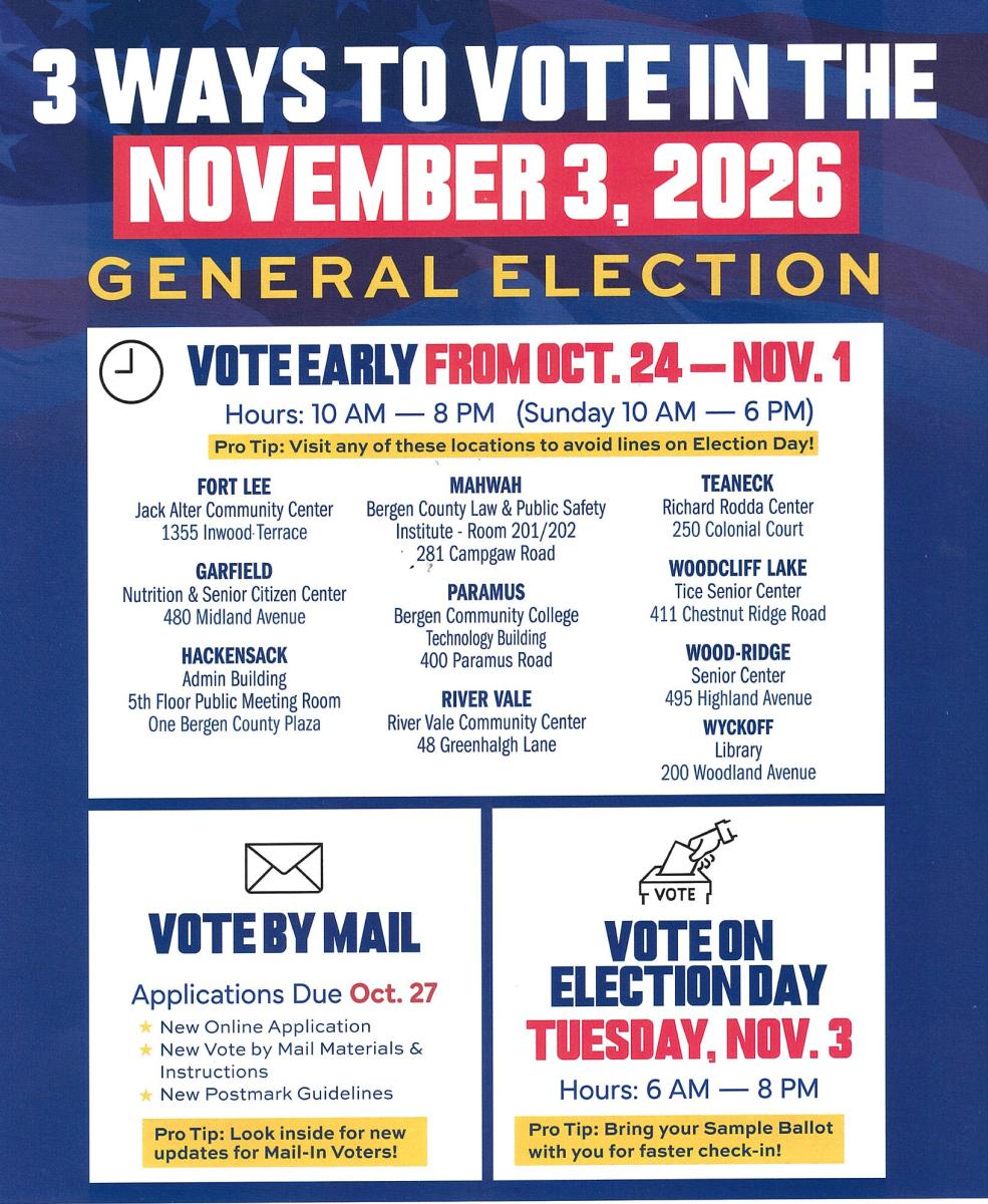 3 ways to vote