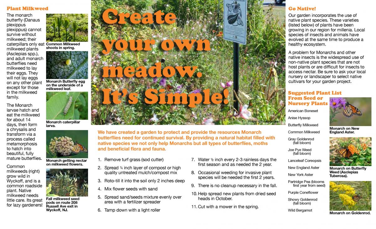 Butterfly Brochure page 2