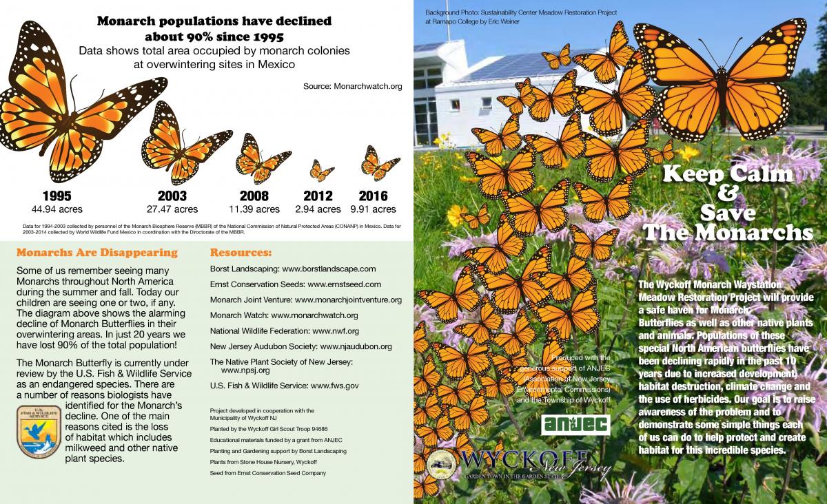 Monarch Butterfly page 1