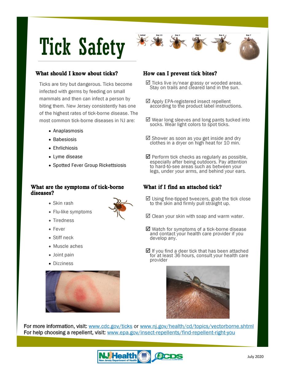 Tick Safety 