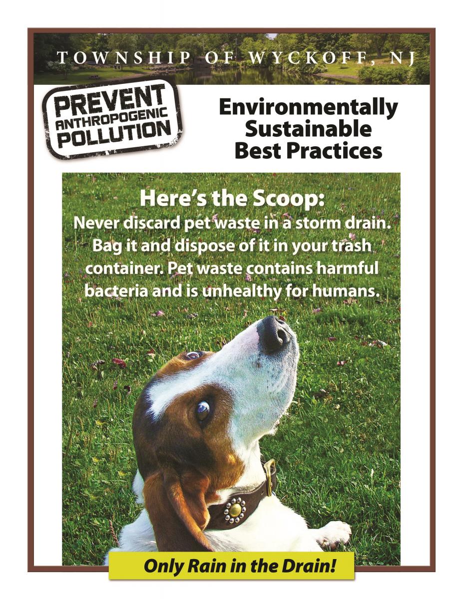 Pet Waste Disposal