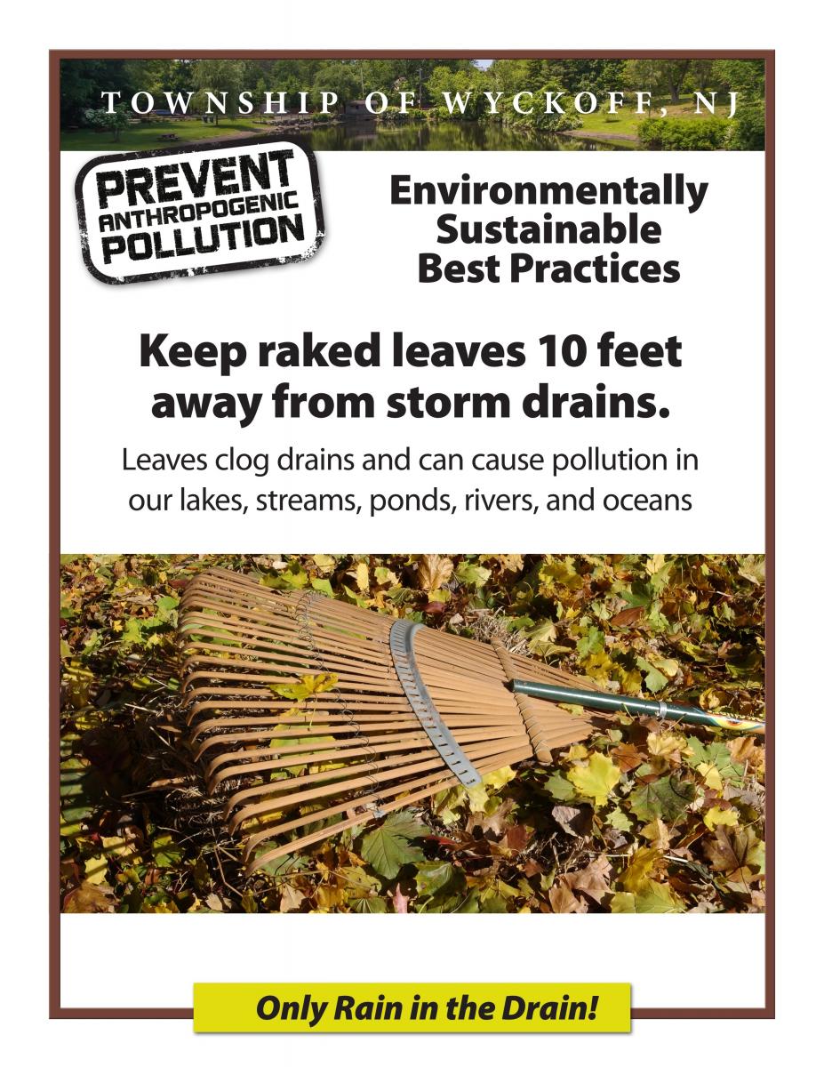 Keep Leaves from Storm Drains