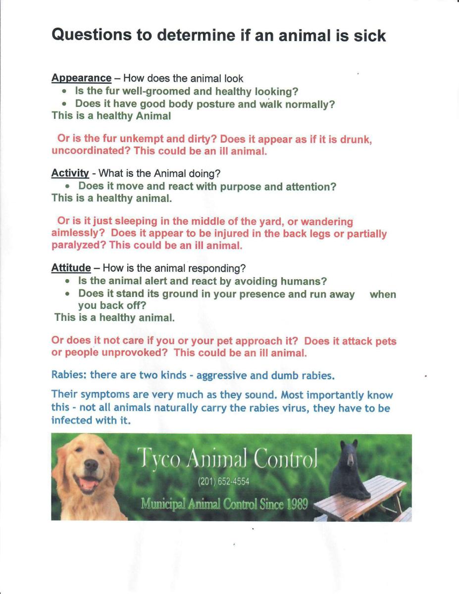 Is this Animal Sick?