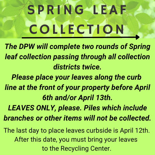 2026 Spring Leaf Info
