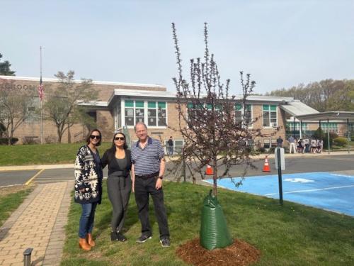 Arbor Day 2025