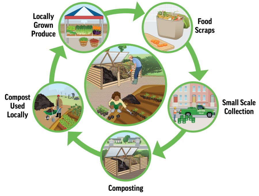 composting 2
