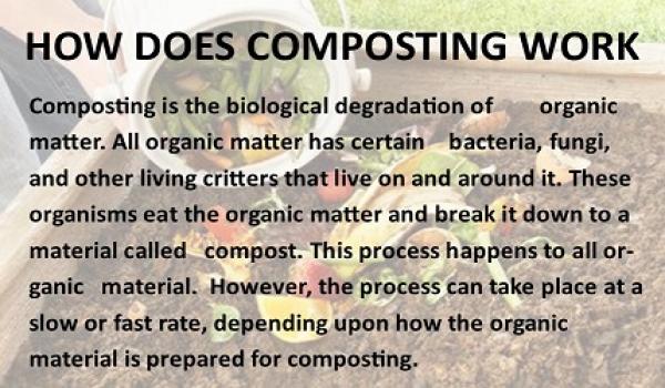 Why Compost