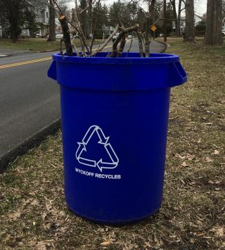 Veg Waste