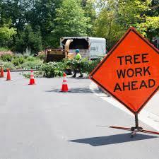 Tree Work Ahead