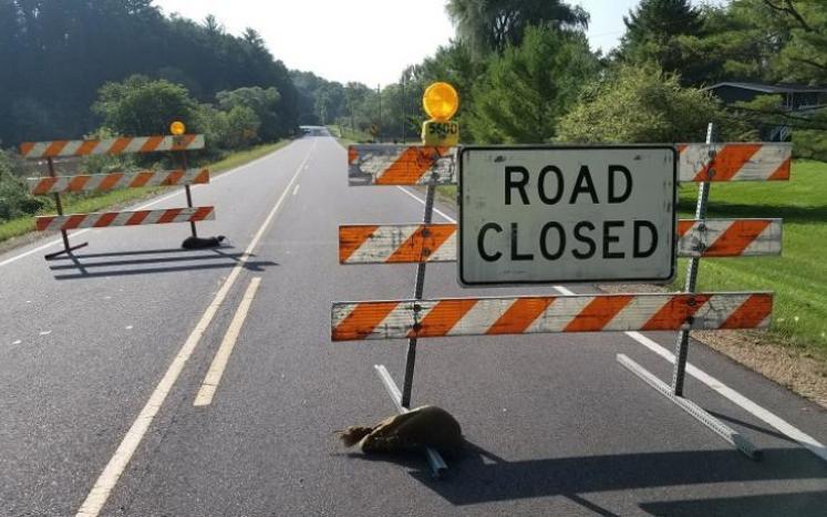 Road Closed
