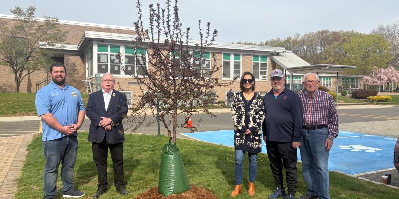 Arbor Day 2025